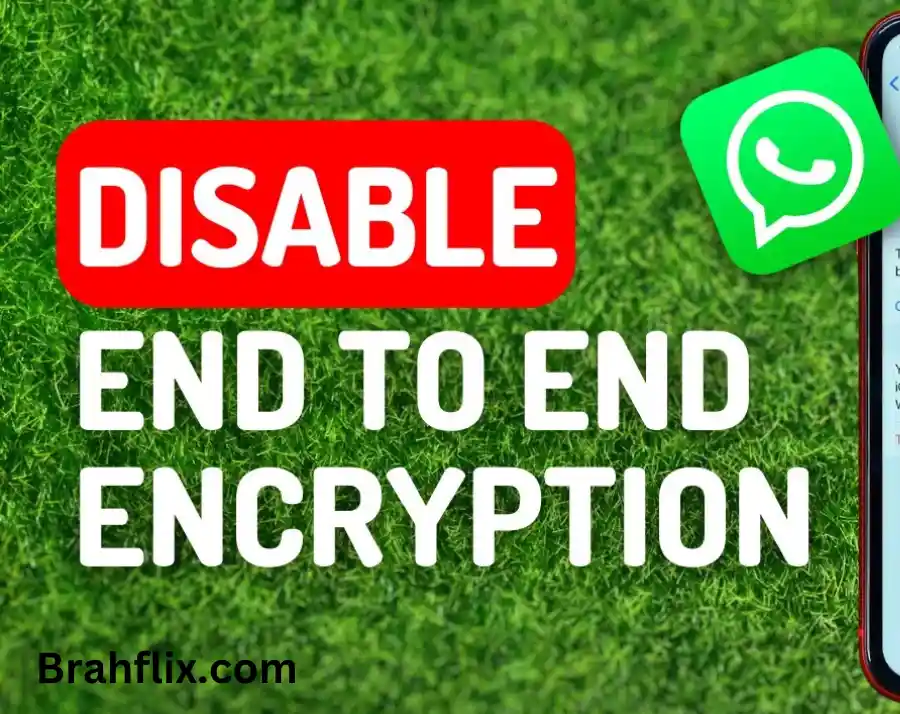 how to disable end-to-end encryption in WhatsApp