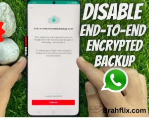 how to disable end-to-end encryption in WhatsApp