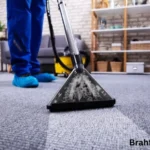 7 Tips for Keeping Your Apartment Carpets Clean and Fresh