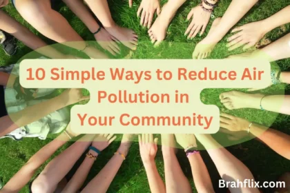 10 Ways to Reduce Air Pollution