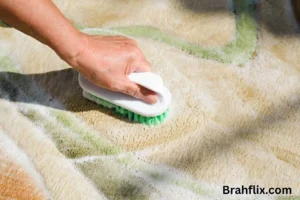 7 Tips for Keeping Your Apartment Carpets Clean and Fresh