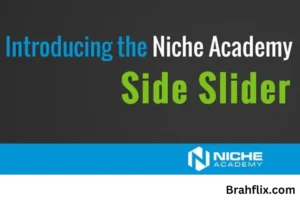 My.Niche Academy/TechLink