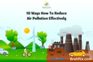 10 Ways to Reduce Air Pollution