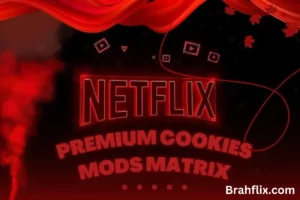 Netflix premium cookies mods matrix